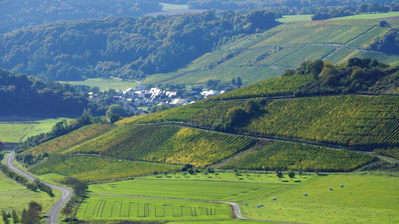 Altes Winzerhaus - Ferienhaus Burgen  Zewnętrze zdjęcie