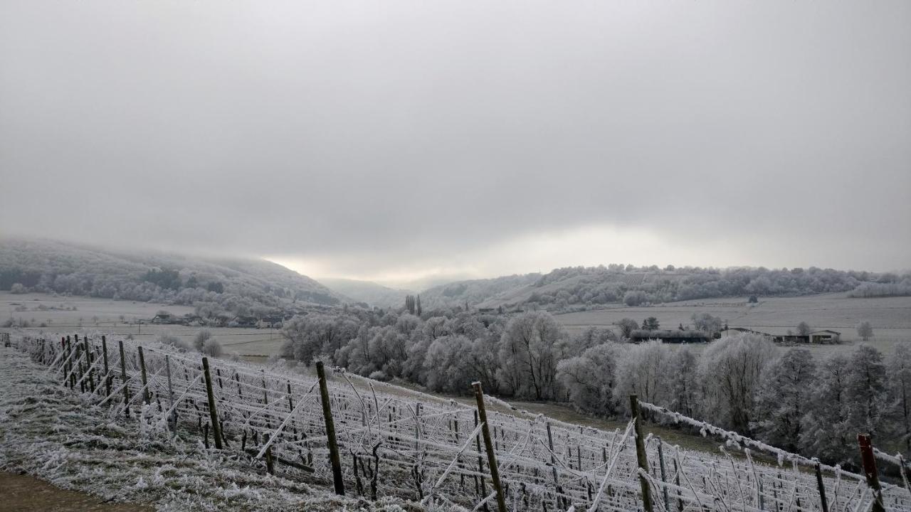 Altes Winzerhaus - Ferienhaus Burgen  Zewnętrze zdjęcie