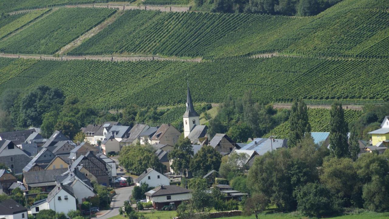 Altes Winzerhaus - Ferienhaus Burgen  Zewnętrze zdjęcie